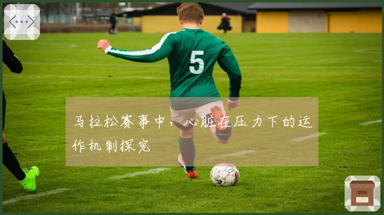 马拉松赛事中，心脏在压力下的运作机制探究