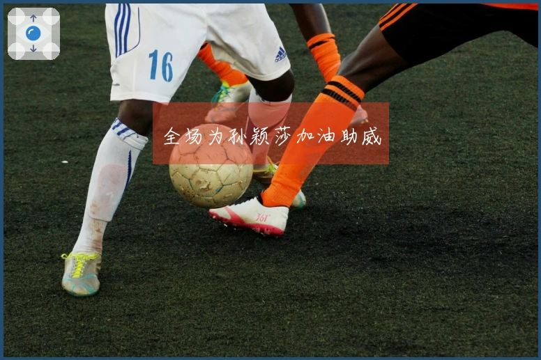 全场为孙颖莎加油助威